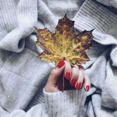 星空体育APP手机app下载