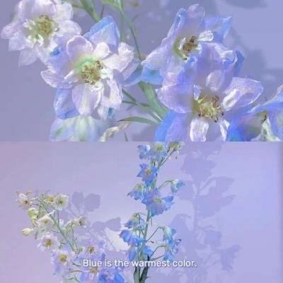 爱游戏全站手机app下载