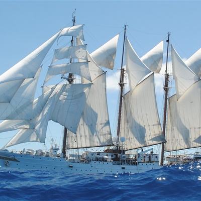 乐鱼·(LEYU)体育官方网站